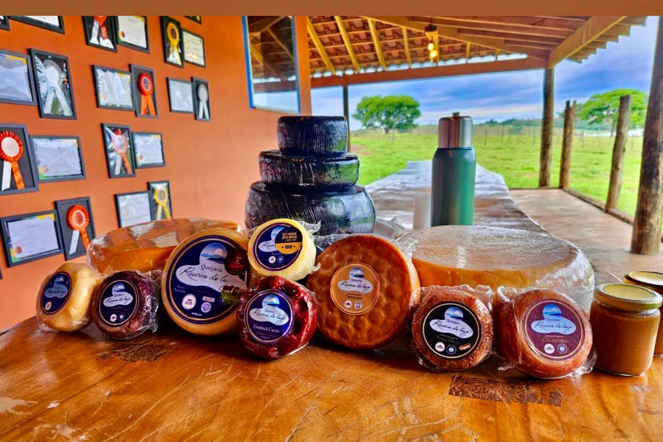 O Queijo Canastra: o sabor premiado de Minas Gerais