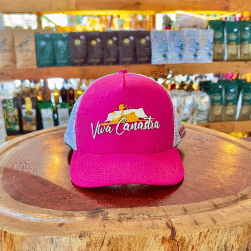 Boné Trucker Viva Canastra