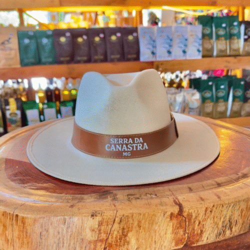 Chapéu Safari/Panamá